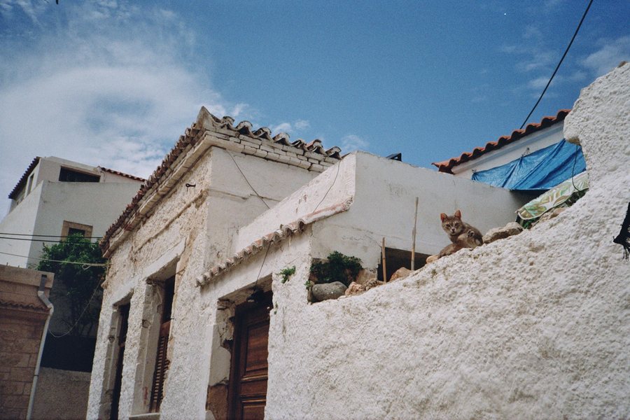 A cat resting on a whitewashed rooftop